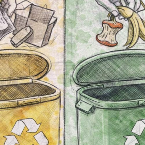 תמונת אווירה מאמר סוגי פחי מיחזור